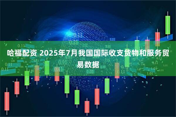 哈福配资 2025年7月我国国际收支货物和服务贸易数据